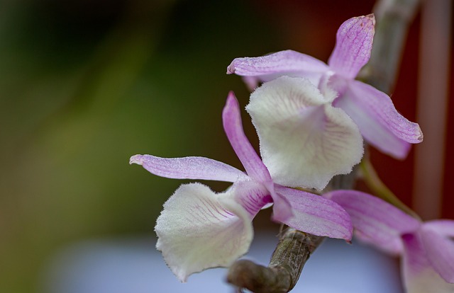 G3d35bcb054dfb7bffa218058df858579f49107b3109aa79e860b71cd17155c1337d372af3f1d9d42c19e086b1ebde9036c52caaf1b250082a266e6d4f2837ee3 640