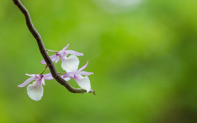 Ga4301990911a8ea13aee97c89105b9d7595ed98ce037e0a8ea44f1869c3fe8d4b2d60aa4603dfbb9ff6d0e0a3a036176770b0aacb5d89ab4ba13997247d4285b 640