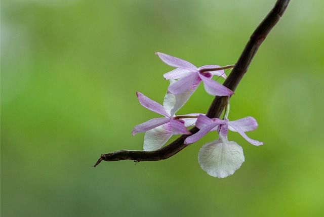 Gbe76e9a9411005d8b4e8e33311ef11d3c9e9d8e2fe13919315a4e4cc22db0e5c050039f5fec69fd8941695c3c639738ae75a7bc2152263c47e22f2971481114e 640