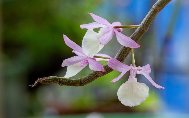 Gd9fd7a3f00678c66245501fb2b43d7d7b7bf35ded112f964c3f508904ea5edb1ce09bec0c814ff74eedf8114734ce77222365a873fc7319fc272e27dc79098f7 640