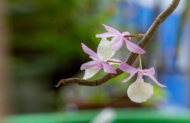 Geba9cb3eacd51e889e94561dff9d7052d117bba8d80483553bc9c2c867200ae546e31bd7b74081cf5298425da6bd1cd9918d01c0d5973ef901567a0f01e6952f 640